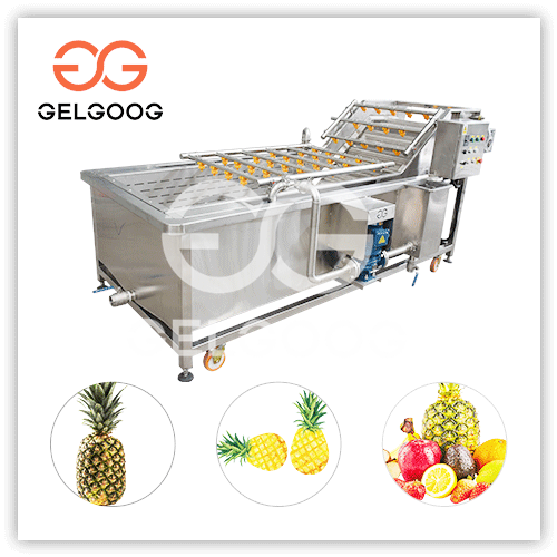 Automatic Pineapple Cleaning Washing Processing Machine Supplier