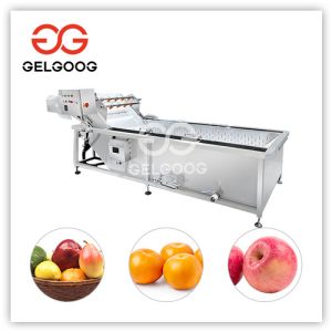 fruit-washing-machine-price