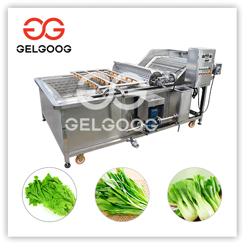 Leafy Vegetable Washing Machine Plant Manufacturer Price