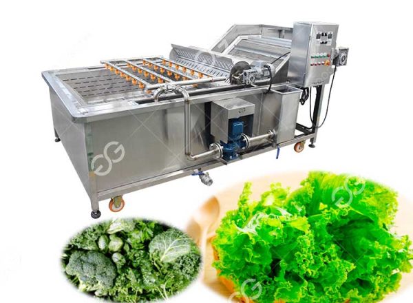 Leafy Vegetable Washing Machine Plant Manufacturer Price