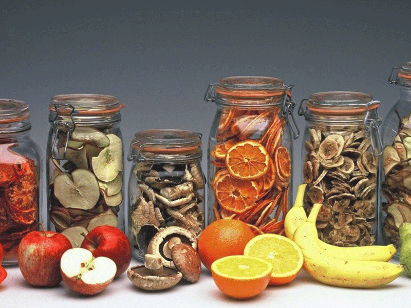 dried vegetables business plan