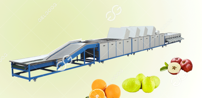 How Fruit Processing Plants Fruit Grading？