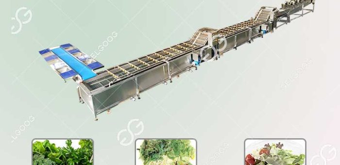 What Is Needed For The Leafy Vegetables Processing Equipment?