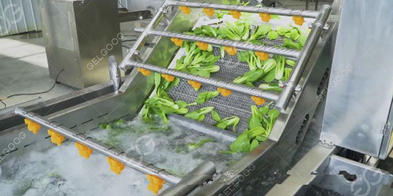 Does Veggie Wash Actually Work With Vegetable Cleaning Equipment?