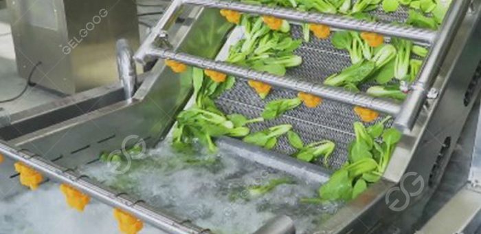 Does Veggie Wash Actually Work With Vegetable Cleaning Equipment?