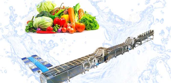 Allround Vegetable Food Processing Industries In New-York