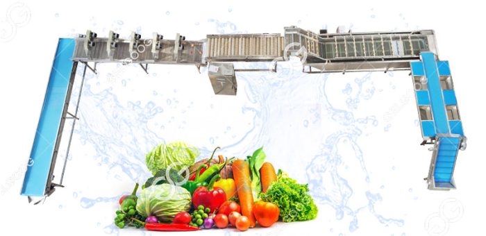 How Should Small And Medium Vegetable Processing Plants Wash Vegetables