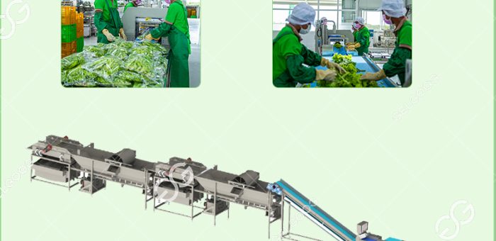 How Do You Prepare Fruit And Vegetables For Processing For New Business?