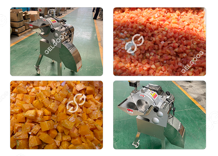 Stainless Steel Vegetable Cube Cutting Machine/Turbo Dicer, Cubes,Fingers