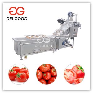 tomato-cleaning-machine