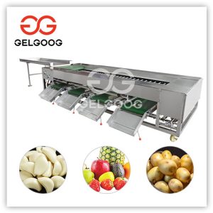 fruit-and-vegetable-size-sorting-machine