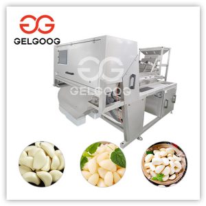 garlic-color-sorting-machine-for-sale