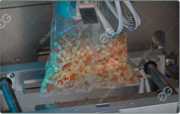 vegetable-Weighing-Packing-Machine-price