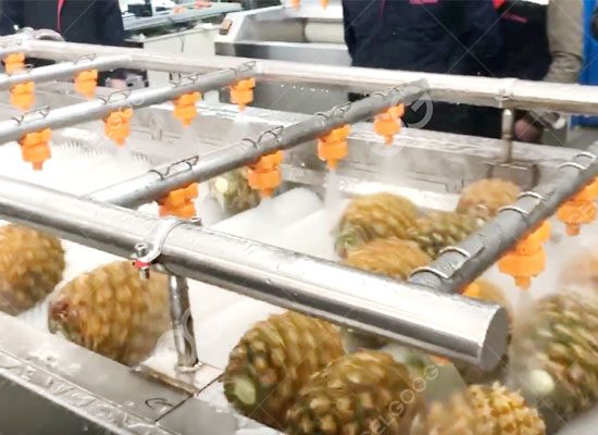 How Can Pineapple Be Processed?