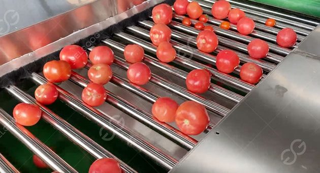 How Does A Tomato Sorting Machine Work?