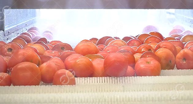 How To Wash Cherry Tomatoes In Factory