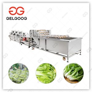 lettuce-washing-and-drying-line