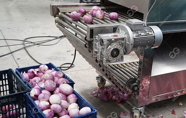 onion-peeling-machine-for-sale